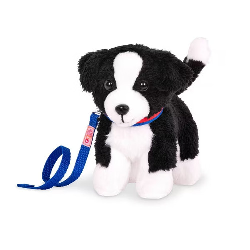 Our generation border collie - generation,