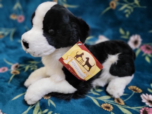 Prima classic border collie - border,