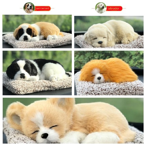 Adorable sleeping puppy with - adorable,