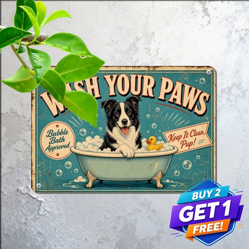Border collie dog bathtub - collie,
