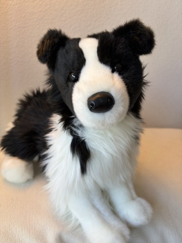 Douglas cuddle border collie - border,