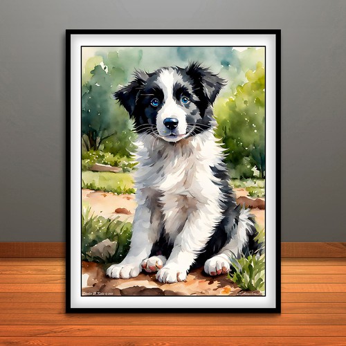 Black and white border collie - and,