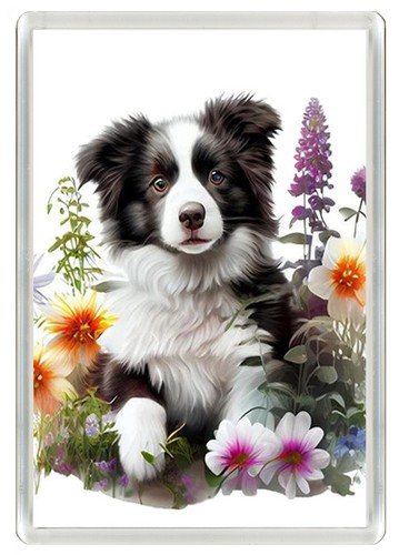 Border collie puppy dog fridge - puppy,