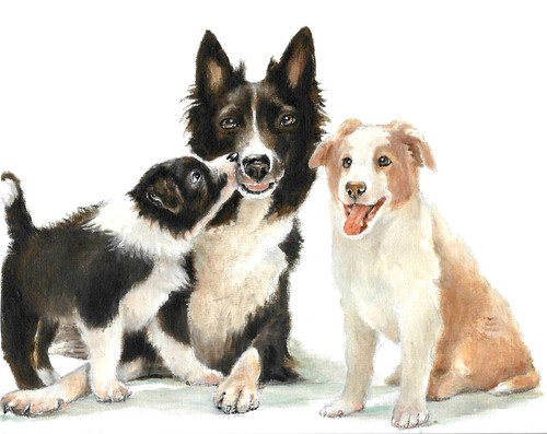 Original oil portrait - original,