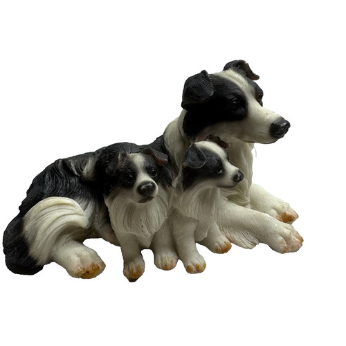 Border collie dog family - collie,