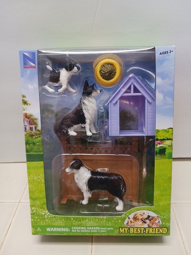 Border collie puppy - ,