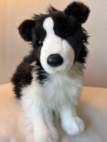 Douglas cuddle border - border, collie