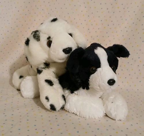 Aurora dalmatian border - &,
