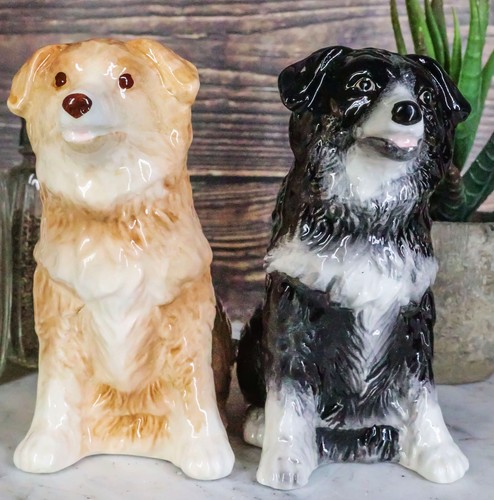 Adorable brown and black - brown,