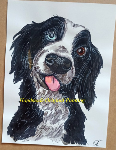 Border collie dog portrait - dog,