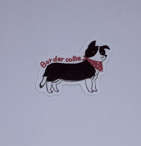Border collie dog - collie, cute