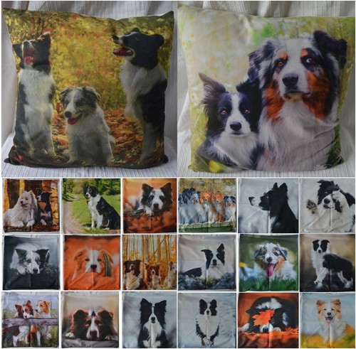 Border collie cushion - collie,