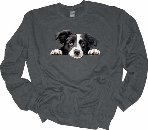 Peeking border collie - peeking,