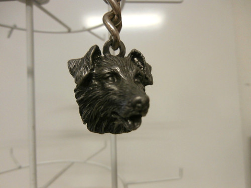 Pewter border collie - pewter,