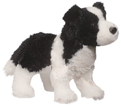 Meadow border collie - meadow,