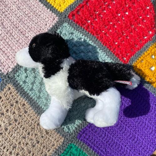 Douglas meadow border collie - meadow,