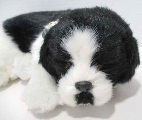 Perfect petzzz border collie - petzzz,