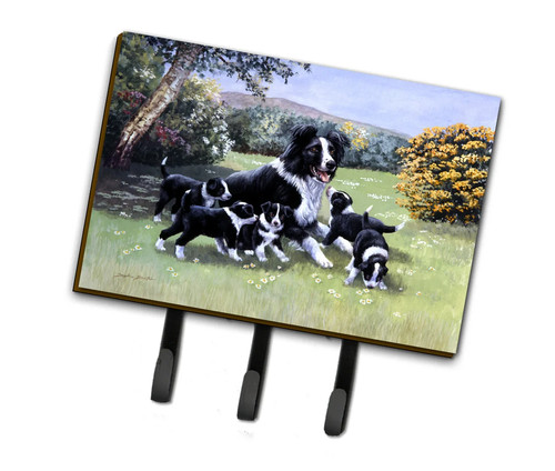 Bdba0257th68 border collie - bdba0257th68,