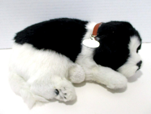 Perfect petzzz border collie - petzzz,