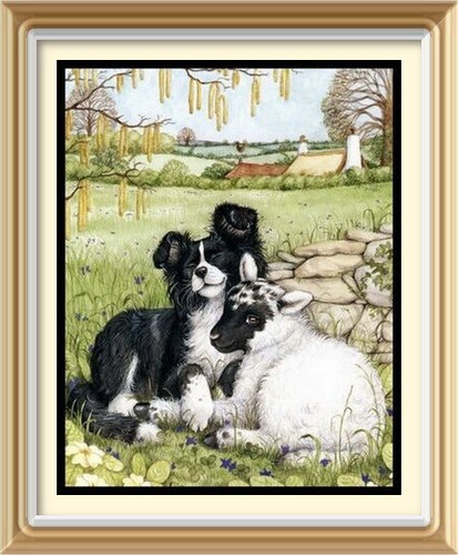 Farm animal dog sheep - sheep, wall