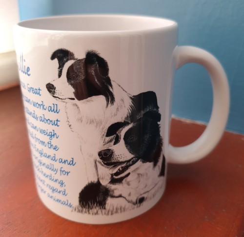 Border collie mug - mug,