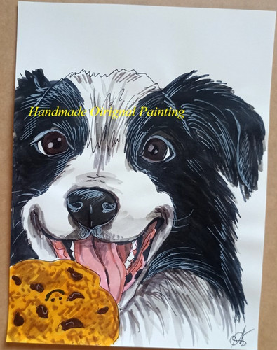 Border collie dog portrait - collie,