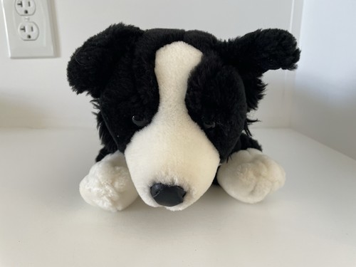 Animal alley border collie - border,
