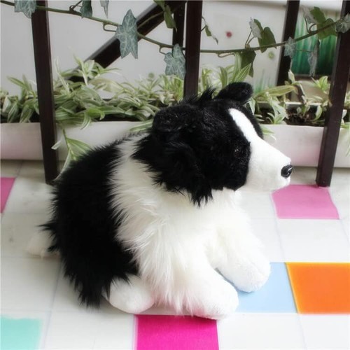 Cute border collie - toy,