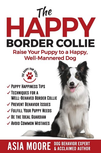 The happy border collie - border, collie: