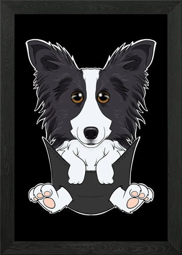 Border collie puppy pocket - collie,