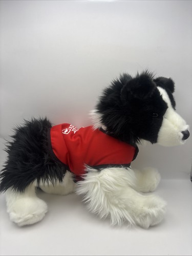 Biskit patrol pup - pup, border