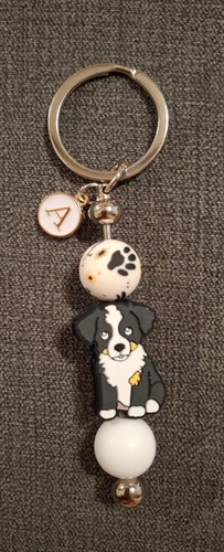 Border collie puppy dog - ,