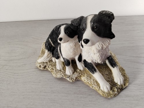 Border collie with puppy - border,