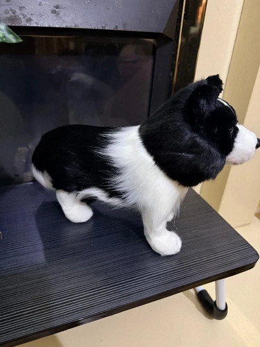 Realistic border collie plush - border,