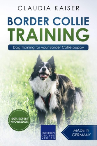 Border collie training - border,