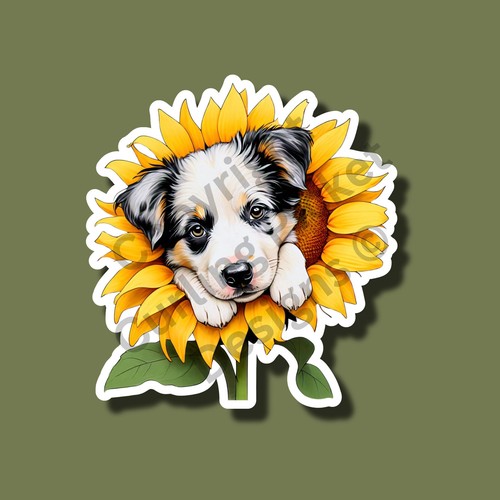Border collie puppy a - border,