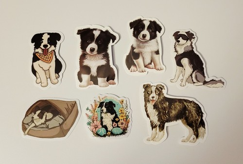Border collie puppy dog - border,