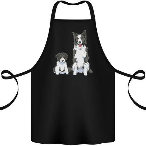 Border collie and - a,