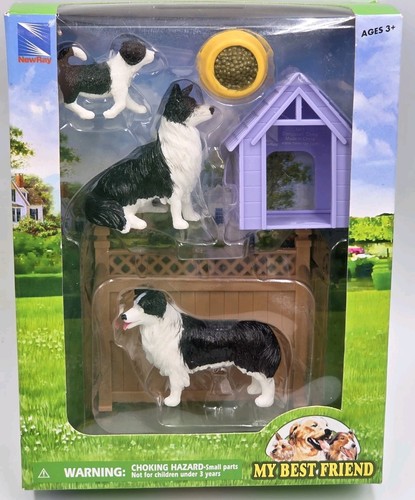 New box best friend - box, dog