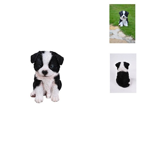 Line sitting border - sitting, collie