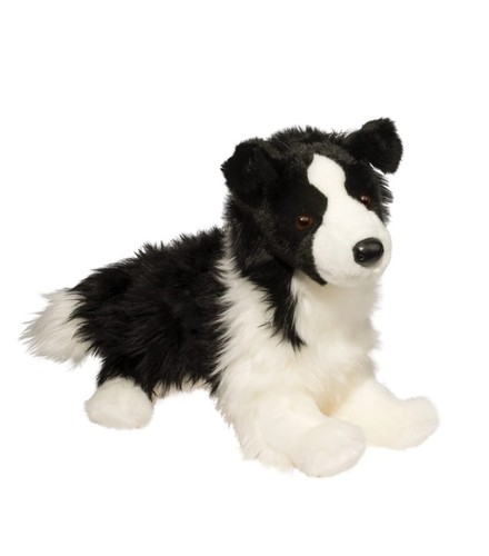 Douglas chase border collie - chase,