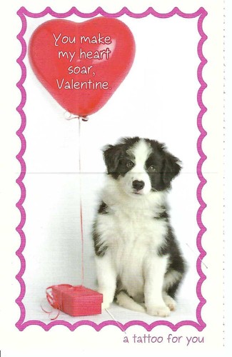 2015 rachael hale pets - rachael,