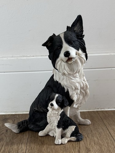 Border collie with puppy - with,