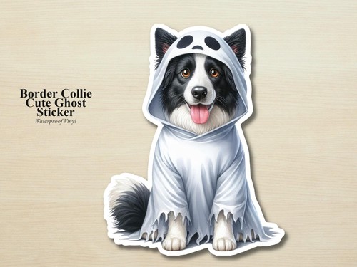 Border collie dog ghost puppy - collie,