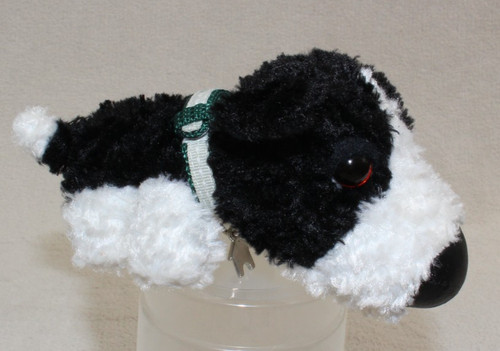 Border collie black white - collie,