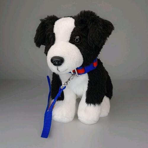 Our generation border collie - our,