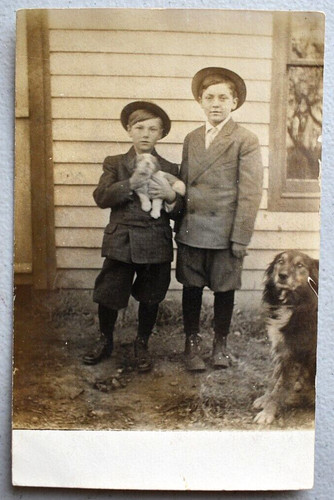 Two boys border collie - boys,