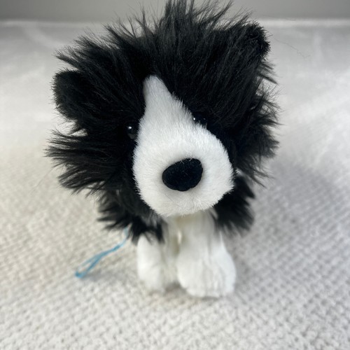 American girl border collie - border,