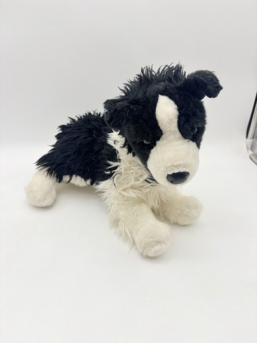 Douglas chase border collie - chase,