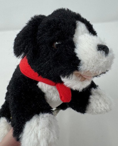 Border collie build - -,